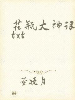 花瓶大神很菜鸟txt