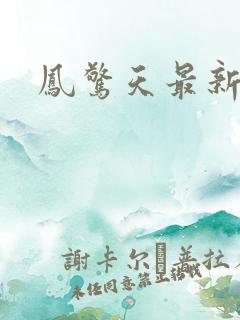 凤惊天最新章节