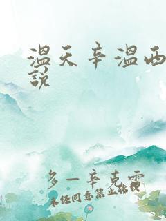 温天辛温西离小说