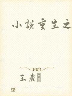 小说重生之官道