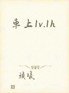 车上1v.1h