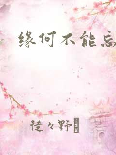 缘何不能忘记你