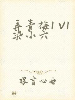 弄青梅1 V1染小六