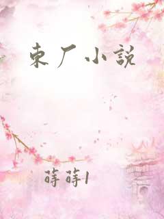 东厂小说