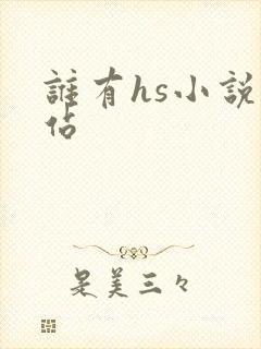 谁有hs小说网站