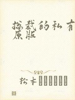 总裁的私有宝贝原版