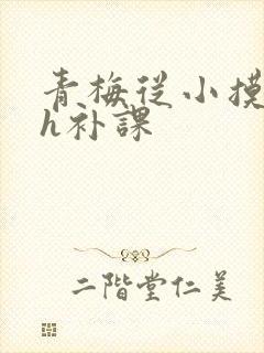 青梅从小摸到大h补课