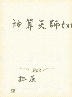 神算天师txt