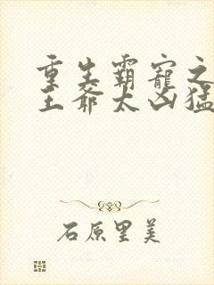 重生霸宠之摄政王爷太凶猛