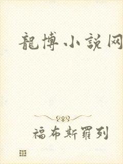 龙博小说网