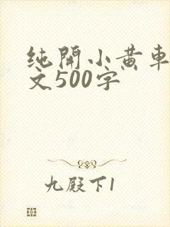 纯开小黄车小短文500字