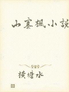 山寨枫小说网