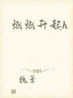 燃燃升起h