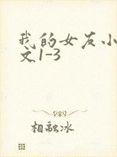 我的女友小洁全文1-3