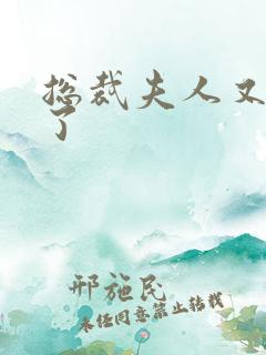 总裁夫人又征婚了