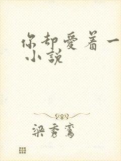 你却爱着一个他 小说