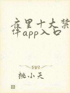 夜里十大禁用软件app入口