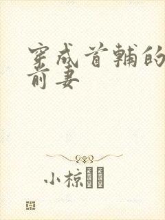 穿成首辅的炮灰前妻