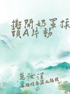 撕开奶罩揉吮奶头A片动