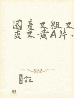 国产又粗又猛又爽又黄A片小说