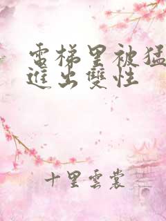 电梯里被猛烈的进出双性