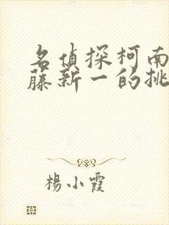 名侦探柯南给工藤新一的挑战书