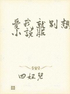爱我就别想太多小说版