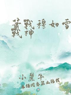 萧战穆如雪护国战神