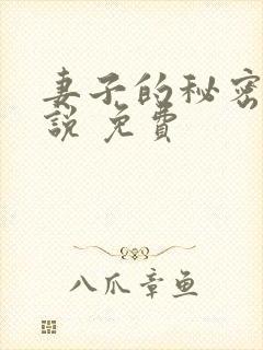 妻子的秘密 小说 免费