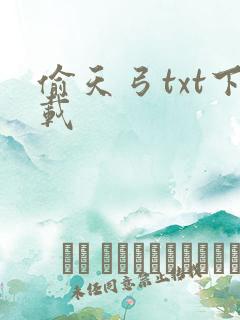 偷天弓txt下载