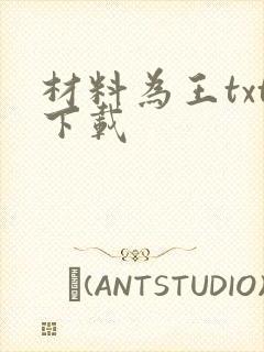 材料为王txt下载