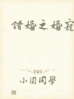 错婚之婚宠一世