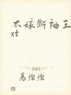 不嫁断袖王爷txt