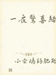 一夜惊喜结局