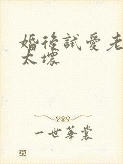 婚后试爱老公别太坏