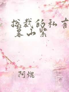 总裁的私有宝贝 暮山紫