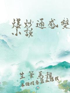 爆炒通感双胞胎小说