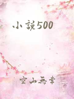 小说500