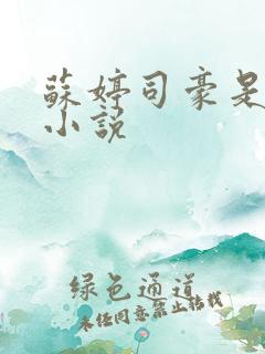 苏婷司豪是什么小说