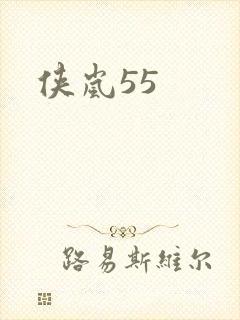 侠岚55