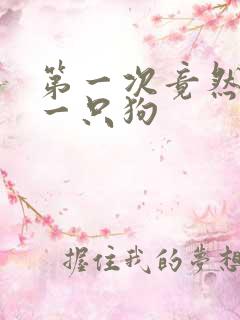 第一次竟然给了一只狗