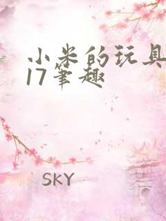 小米的玩具日记17笔趣