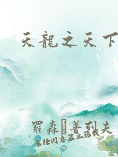 天龙之天下有我