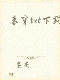 喜宝txt下载