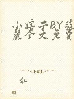 小瞎子BY苏玛丽全文免费笔趣阁