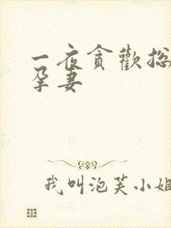 一夜贪欢总裁幸孕妻