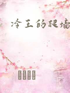 冷王的爬墙丑妃