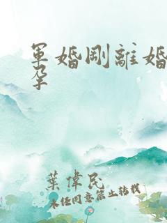 军婚刚离婚就怀孕