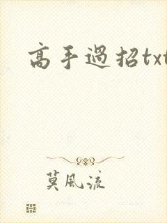 高手过招txt