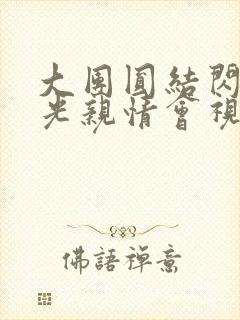 大团圆结闪闪发光亲情会视频